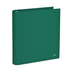 Carpeta Escolar FW 3x40 Cartone Verde