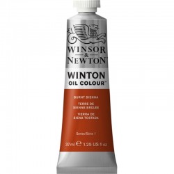 Oleo Winton Winsor & Newton 37 ml Siena Tostada (074)