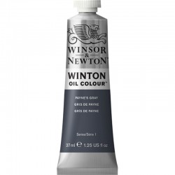 Oleo Winton Winsor & Newton 37 ml Gris de Payne (465)