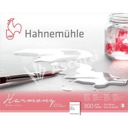 Block Hahnemühle Harmony Watercolour 24x30cm 12h